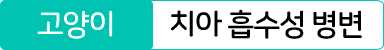 강아지