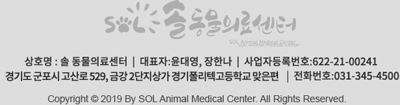 솔동물메디컬센터 I 경기 군포시 고산로 529 금강2단지